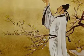 青蛙图片