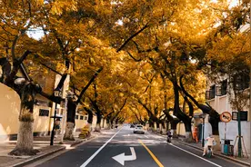 小说：兵王独闯东南亚救人，太刺激了图片