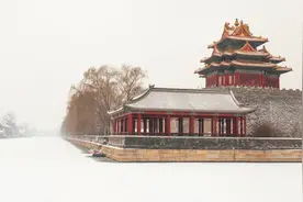 小说：两位公主各自抱着奄奄一息猫来求救，他为难：先救谁的猫？图片