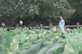 小说：刁蛮公主小时候竟然是个人人揉捏的小糯米团子！图片