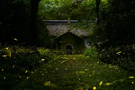 小说：西游记的文字很难被孩子看懂？这本完全翻译的版本建议一看图片