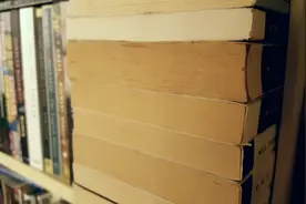 第二章 用工主体的选择图片