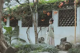 小说：孤岛求生，我不是贝爷……图片