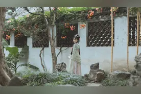 小说：孤岛求生，我不是贝爷……图片