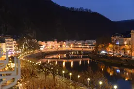 鸟图片