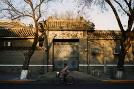小说：看我变成一条鱼来把猫吃。图片