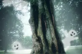 小说：盗墓门派只有有南北之分？错了！还有一种门派比他们都厉害图片