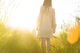 戛纳电影节闭幕后的景象：艺术家们像候鸟般疾飞而过图片