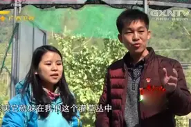 林蛙属于国家二级保护动物，但经过驯化后是可以在市场上销售的
