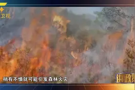 为何秋冬季最容易发生森林火灾？视频封面