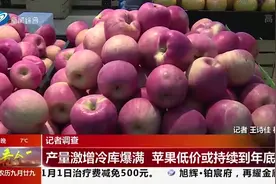 应季水果大量上市，沈阳苹果价格大“跳水”，未来价格会上涨吗？视频封面