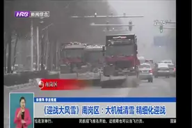 南岗区：清雪设备提前集结，降雪后第一时间作业，保证快清快运视频封面