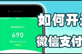 【微信支付分】让我看看是哪个家伙分数比我高视频封面