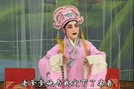 十集连台古装豫剧《风波姻缘》，真是名家云集，好戏连台