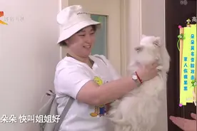 为何狗狗会莫名其妙的对主人低吼呢，你家的狗狗有过这个情况吗？视频封面