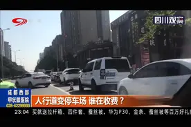 成都：市民举报停车遇到假收费员？人行道变停车场，谁在收费？视频封面