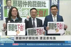 批韩国瑜“狗屁倒灶蒙骗上台”,蔡碧仲公然护蔡,蓝营：下台当平民视频封面