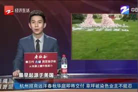杭州招商远洋春秋华庭即将交付 草坪被染色业主不能忍视频封面
