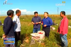 好消息！“民生山西”可直接下载打印社保证明视频封面