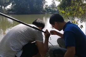 周末东莞华阳湖野钓，野货太多，晚上12点才收竿，这收获很惊人