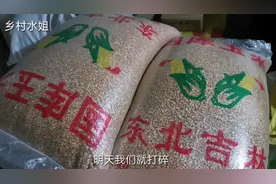 经销商给水姐夫送东北玉米，揭秘别人养鸡为什么下蛋多视频封面