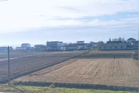 我的视角看盐城，上海飞地，大丰上海农场收获季！视频封面