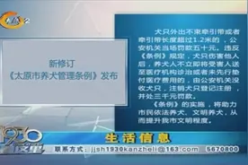 速看！《太原市养犬管理条例》出台，违反这些行为将面临处罚视频封面