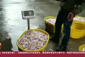 1元起拍！7万多公斤渔获物网上拍卖，突破地域限制，公开促公正！视频封面
