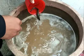 乡村小伙养泥鳅,买了20块钱的泥鳅放入缸里,这样能养得活吗？视频封面