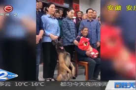 又是别人家的狗！和家人拍全家福，姿势有模有样表情还抢眼！视频封面
