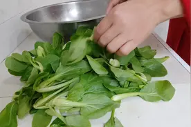 小白菜苗不要直接下锅，加点水淀粉汁这样做更嫩更脆更绿，不信你视频封面
