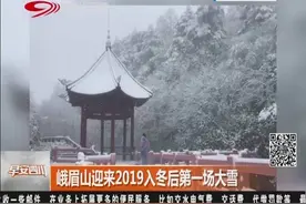 峨眉山迎来2019入冬后第一场大雪，银装素裹，成为冰雪世界视频封面