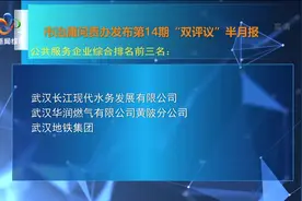 武汉市治庸问责办发布第14期“双评议”半月报视频封面