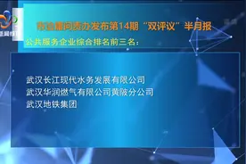武汉市治庸问责办发布第14期“双评议”半月报视频封面