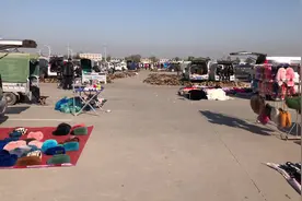 皮草原皮市场上貂皮大衣才几百块钱一件，各种原皮非常多眼花缭乱视频封面