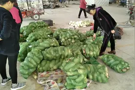 农村老家的农副产品物流园开业了，产品丰富齐全，场景很壮观视频封面