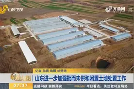 新政来了！山东向闲置土地和批而未供“开刀”，问题严重将被问责视频封面