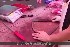 海南三亚的肉价涨到多少钱一斤？到市场一看，这价格难以想象！视频封面