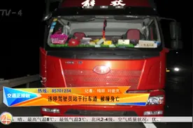 货车夜间高速违停，驾驶员还站在了行车道上，结果命丧车轮下！视频封面