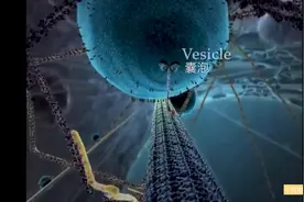 医学3D动画：细胞中的生命进程，用微观的视角观察生命的神奇视频封面