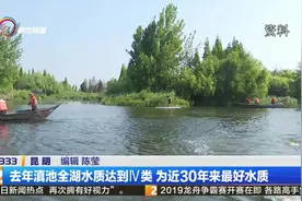 去年滇池全湖水质达到Ⅳ类 为近30年来最好水质视频封面