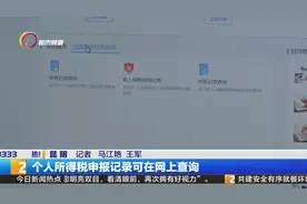 网上可以查询个人所得税申报记录了！赶快登录查一查吧视频封面