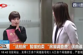 “法拍房”暂缓拍卖，房子没到手，“房屋调查费”该由谁买单？视频封面