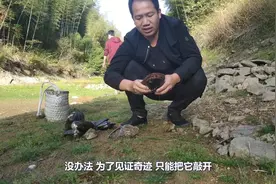 农村水库养的大河蚌，到底有没有珍珠？小伙花了好大的力气才打开视频封面