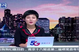 双休日两天 十八频道萌宠节等你来嗨！视频封面