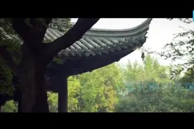 《江畔独步寻花》杜甫视频封面