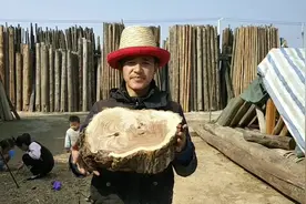 实拍农村做榆木菜墩，榆木和柳木那个好？现在知道的人不多了