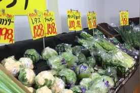 日本食品价格100日元相当于6.5人民币视频封面