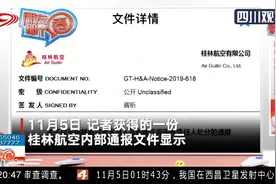 美女在飞机舱拍照的照片红遍网络，桂林航空内部通报文件曝光视频封面