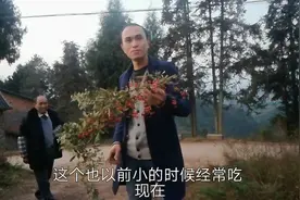 四川达州山里这种野生水果，有70.80.90后的童年回忆视频封面